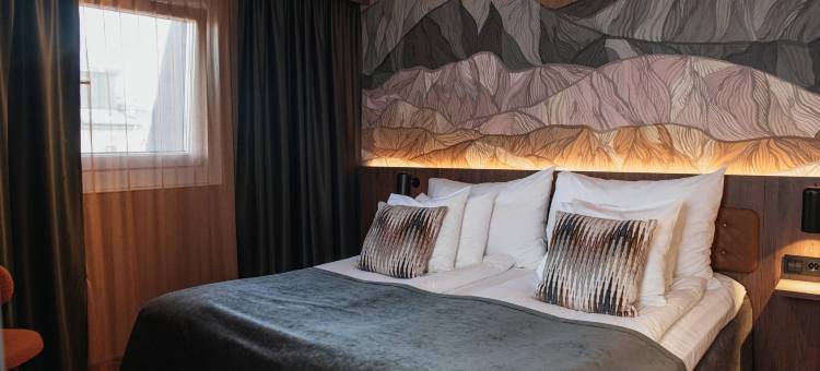 Home Hotel 贝格马斯塔伦(Home Hotel Bergmästaren)图片