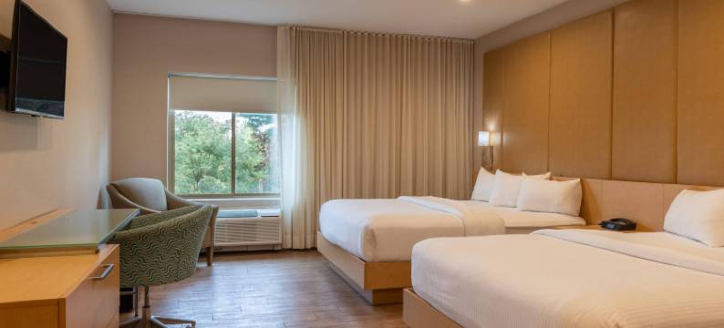 白山钱德勒酒店-阿桑德连锁酒店会员(The Chandler at White Mountains, an Ascend Hotel Collection Membe)图片