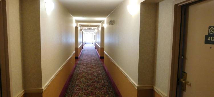 锡达拉皮兹戴斯套房酒店(Days Inn & Suites by Wyndham Cedar Rapids)图片