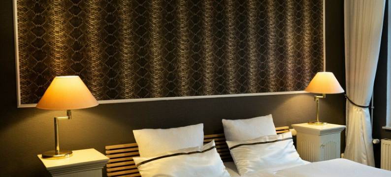 莱因经典酒店(Rein Klassik Hotel)图片