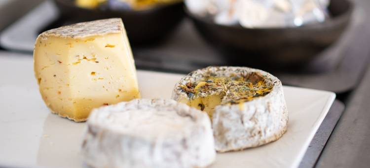 木轮磨坊庄园酒店 - 餐厅和水疗中心(Logis Hôtel Domaine du Moulin Cavier - Restaurants & Spa)图片