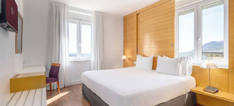 埃克维多利亚宫殿酒店(Exe Victoria Palace)图片