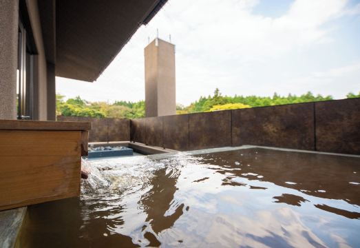 The Aconcagua Resorts Hotel Overview