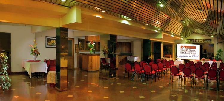 恺撒广场酒店(Cesar's Plaza Hotel)图片