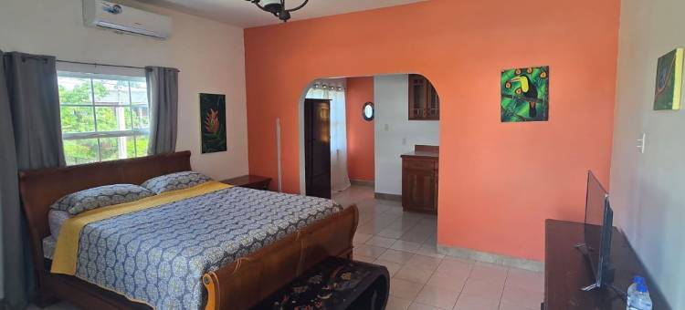 伯利兹斑博里奥旅馆(Bamboleo Inn Belize)图片