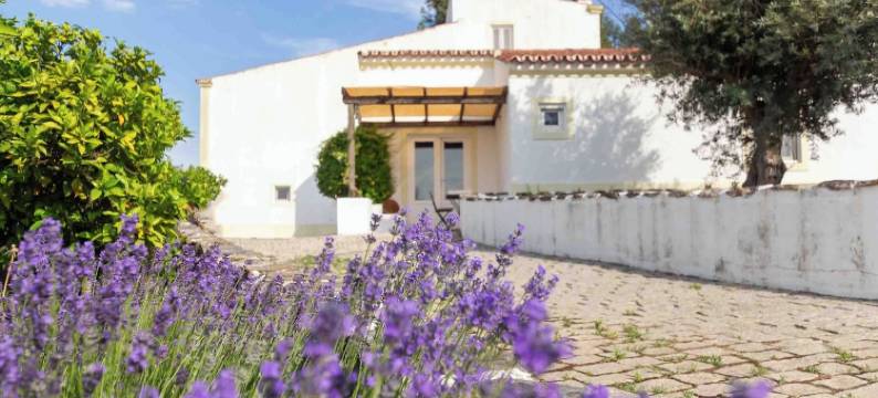 蒙特达斯奥利维拉斯(Monte Das Oliveiras)图片