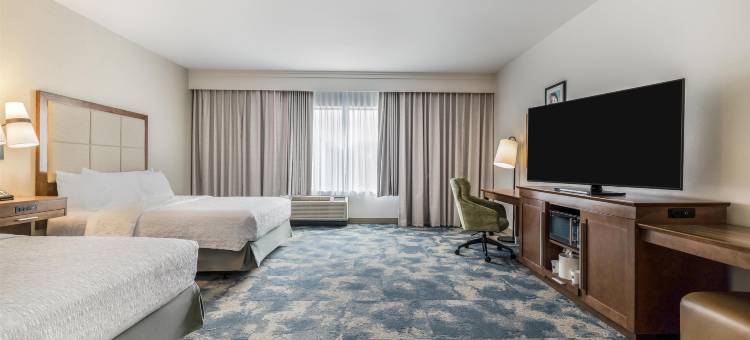 达拉斯-普莱诺东欢朋套房酒店(Hampton Inn & Suites Dallas/Plano-East)图片