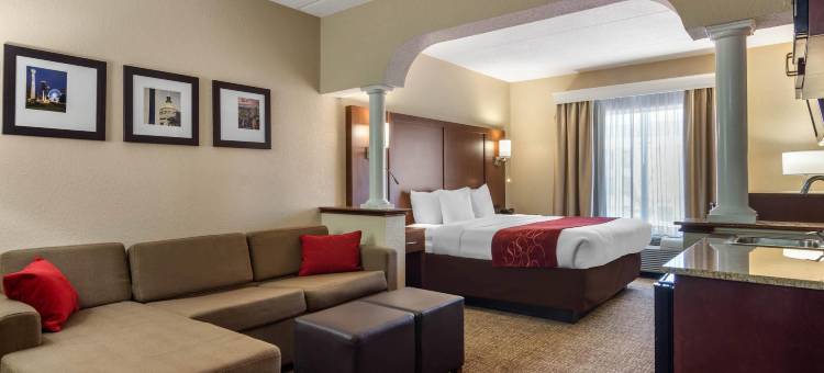 伍德斯托克舒适套房酒店- 亚特兰大北(Comfort Suites Woodstock - Atlanta North)图片