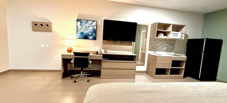 德克萨斯维多利亚套房汽车旅馆(Lone Star Inn and Suites Victoria)图片
