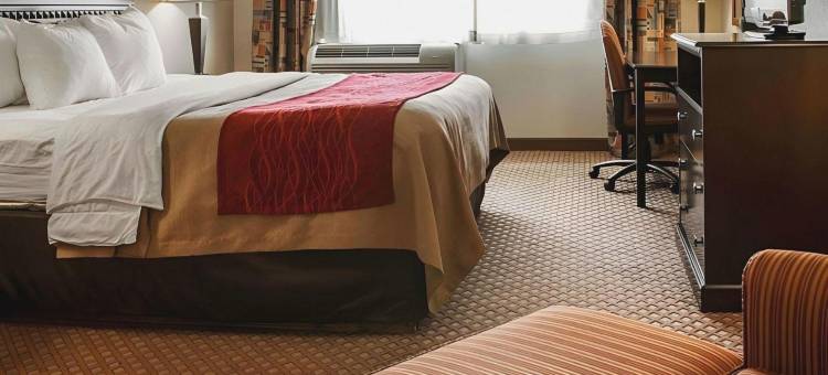 美国旅馆及水福德套房(American Inn & Suites)图片