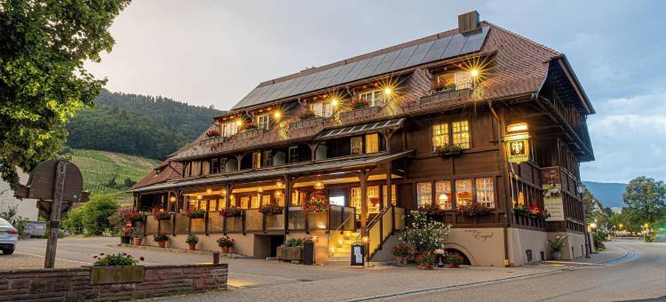 黄金天使酒店-住宿加早餐旅馆(Hotel-Gasthaus Goldener Engel)图片