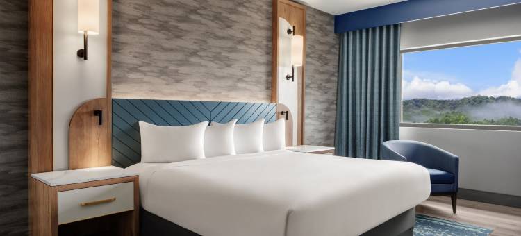 哈拉斯切罗基河谷河酒店 - 凯撒奖励目的地(Harrah's Cherokee Valley River – A Caesars Rewards Destination)图片