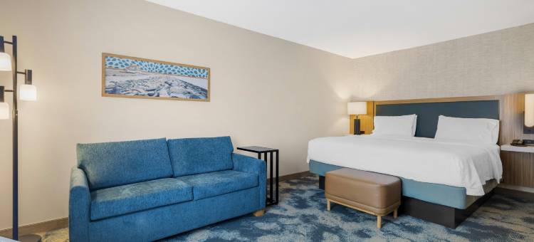 希尔顿欢朋套房酒店-普里茅斯(Hampton Inn & Suites Plymouth)图片