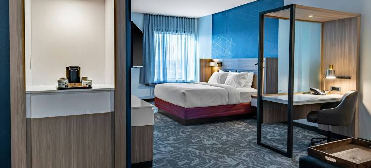欧弗兰帕克利伍德SpringHill Suites酒店(SpringHill Suites Overland Park Leawood)图片