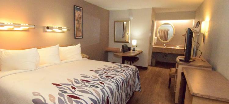 布法罗汉堡I-90红顶酒店(Red Roof Inn Buffalo - Hamburg/ I-90)图片