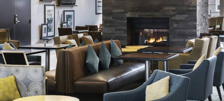 林肯郡希尔顿欢朋旅馆&套房酒店(Hampton Inn & Suites Chicago/Lincolnshire)图片