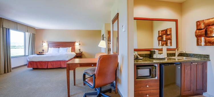 派恩代尔欢朋套房酒店(Hampton Inn & Suites Pinedale)图片