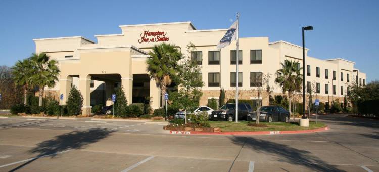 克利奇站-美国东6公路欢朋套房酒店(Hampton Inn & Suites College Station/US 6-East Bypass)图片