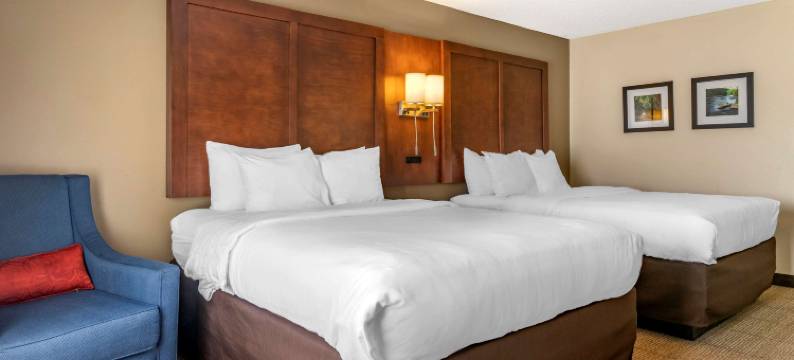 斯泰茨伯勒大学区舒适套房酒店(Comfort Inn & Suites Statesboro - University Area)图片