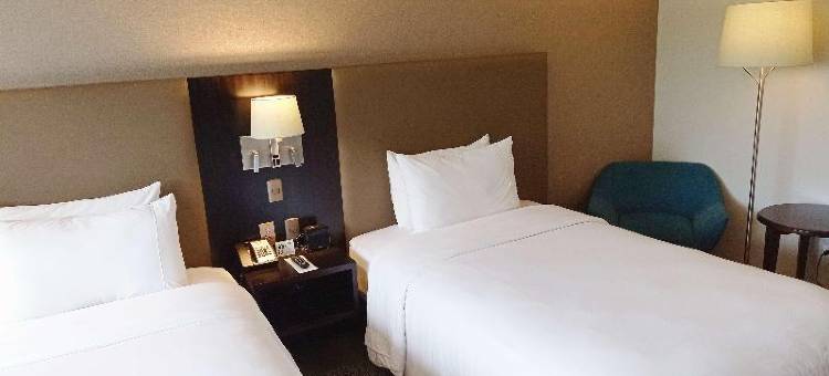 丽筠酒店-圣克鲁斯(Radisson Hotel Santa Cruz)图片