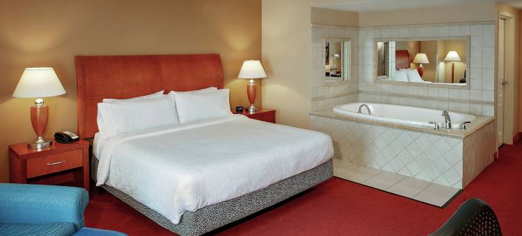 奥黑尔机场希尔顿花园酒店(Hilton Garden Inn Chicago O'Hare Airport)图片