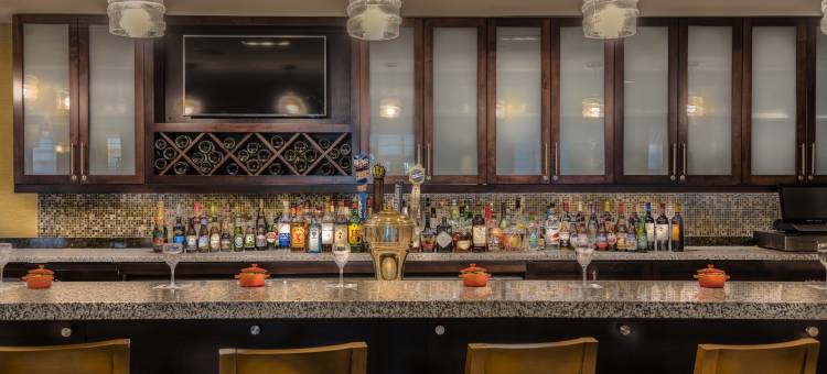 里根国家机场希尔顿花园酒店(Hilton Garden Inn Reagan National Airport)图片