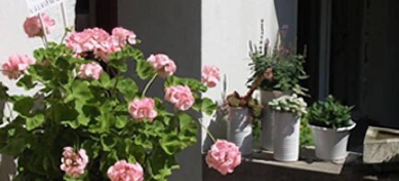 里尔顿酒店(Hotel Lilton)图片