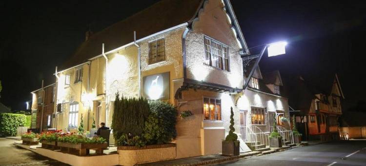 温甘狗狗酒店(The Dog at Wingham)图片