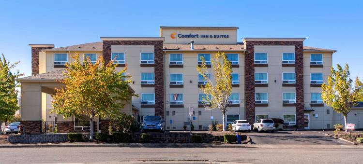 舒适套房酒店(Comfort Inn & Suites Salem)图片