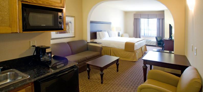 智选假日套房酒店金斯维尔(Holiday Inn Express & Suites KINGSVILLE by IHG)图片