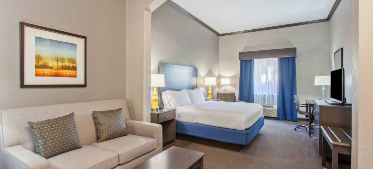 智选假日套房酒店沃顿商学院(Holiday Inn Express & Suites Wharton)图片