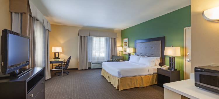 伊格尔帕斯智选假日酒店及套房(Holiday Inn Express & Suites Eagle Pass)图片