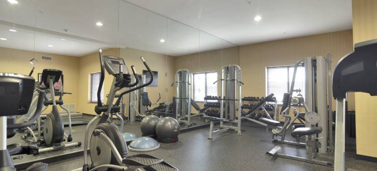 Holiday Inn Express & Suites DFW西 - 赫斯特(Holiday Inn Express & Suites DFW WEST - HURST by IHG)图片