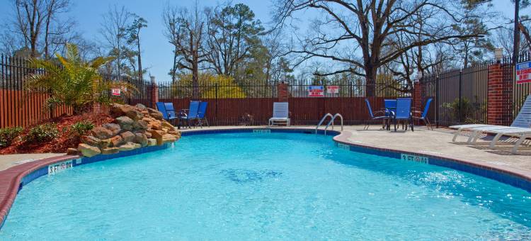 智选假日套房酒店维多南(Holiday Inn Express & Suites Vidor South)图片