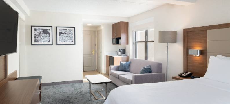 波士顿剑桥智选假日套房酒店(Holiday Inn Express & Suites BOSTON - CAMBRIDGE by IHG)图片