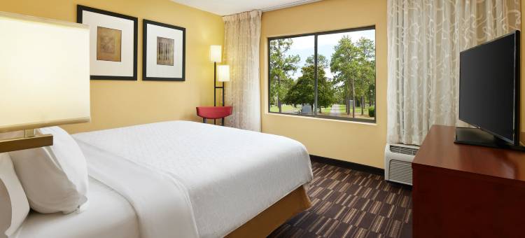 提夫顿智选假日酒店(Holiday Inn Express Tifton)图片