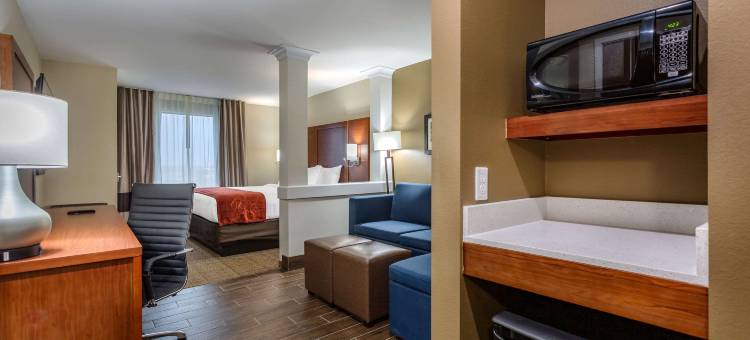 舒适套房酒店(Comfort Suites Bowling Green Southeast)图片