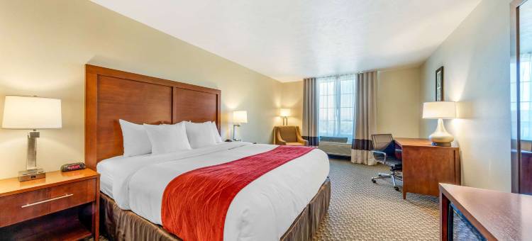 兰开斯特羚羊谷舒适套房酒店(Comfort Inn & Suites Lancaster Antelope Valley)图片