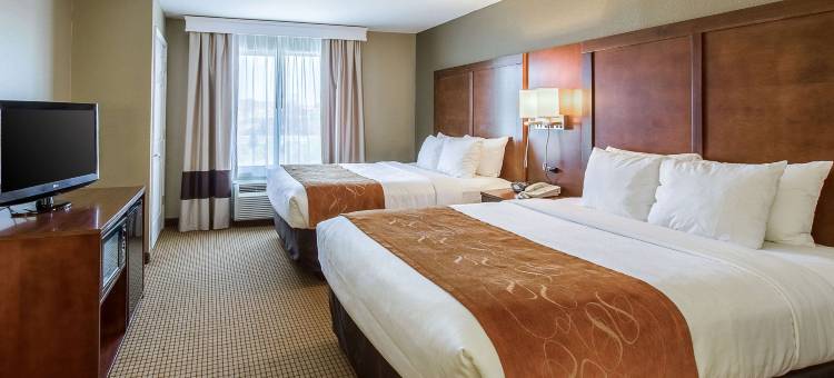 舒适套房酒店(Comfort Suites)图片