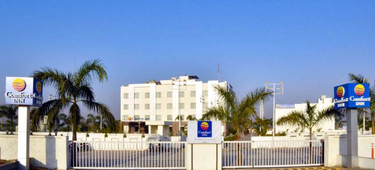 多尼尔舒适酒店(Comfort Inn Donil Vadodara)图片