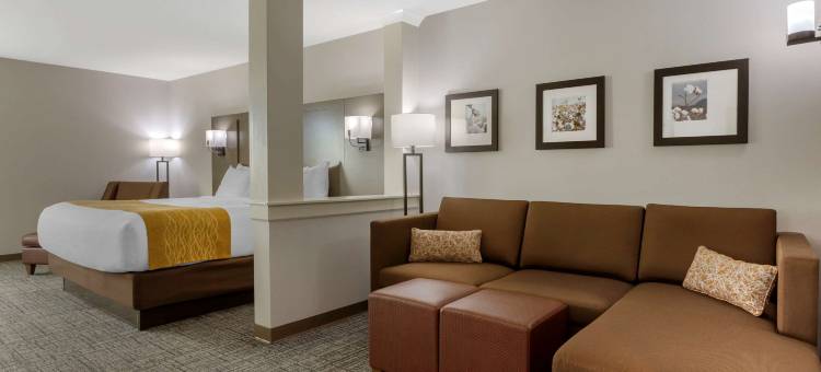 舒适酒店(Comfort Inn Jonesboro)图片