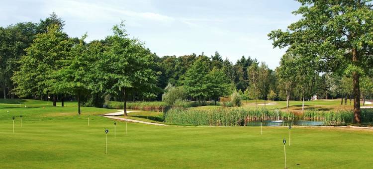 索斯图尼恩皇家公园希尔顿逸林酒店(DoubleTree by Hilton Royal Parc Soestduinen)图片