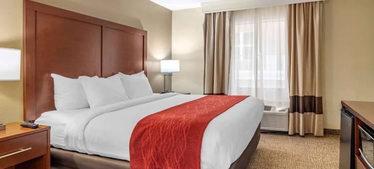 梅肯北I-75舒适套房酒店(Comfort Inn & Suites Macon North I-75)图片