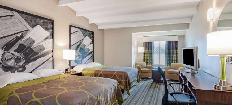 墨尔本速8酒店(Super 8 by Wyndham Melbourne)图片