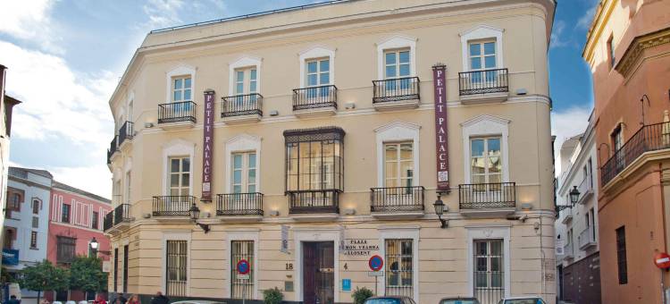 圣克鲁斯珀蒂宫酒店(Petit Palace Santa Cruz)图片