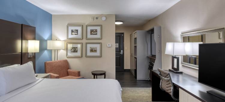 Holiday Inn & Suites 亚特兰大机场北(Holiday Inn & Suites Atlanta Airport-North)图片