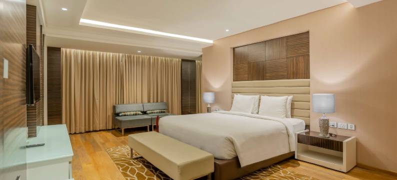 乌代布尔丽筠酒店(Radisson Udaipur)图片