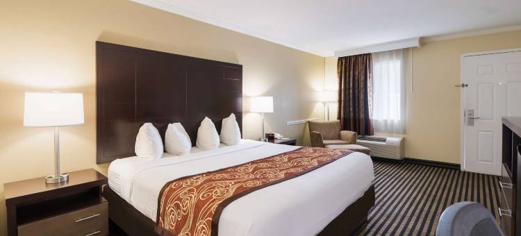 马更些贝斯特韦斯特酒店(Best Western McKenzie)图片