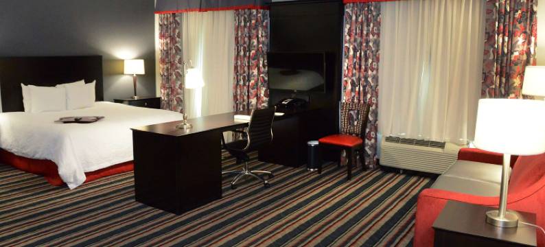 奥尔巴尼购物中心欢朋套房酒店(Hampton Inn & Suites Albany at Albany Mall)图片