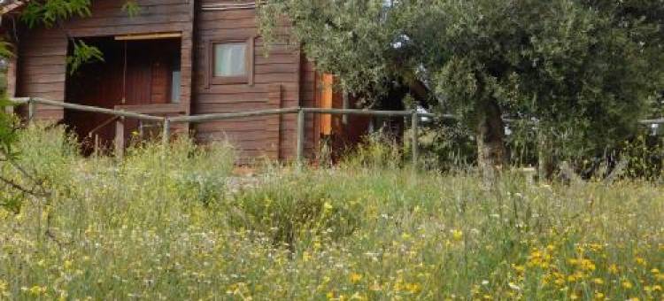 Casa la Colina Mandarina I图片